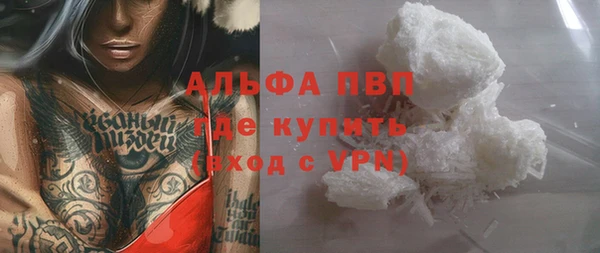 spice Вяземский