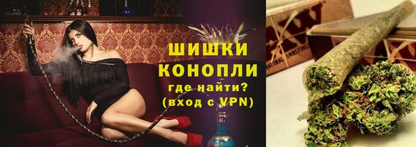 spice Вяземский