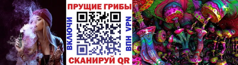 где продают   Любим  Псилоцибиновые грибы мицелий 